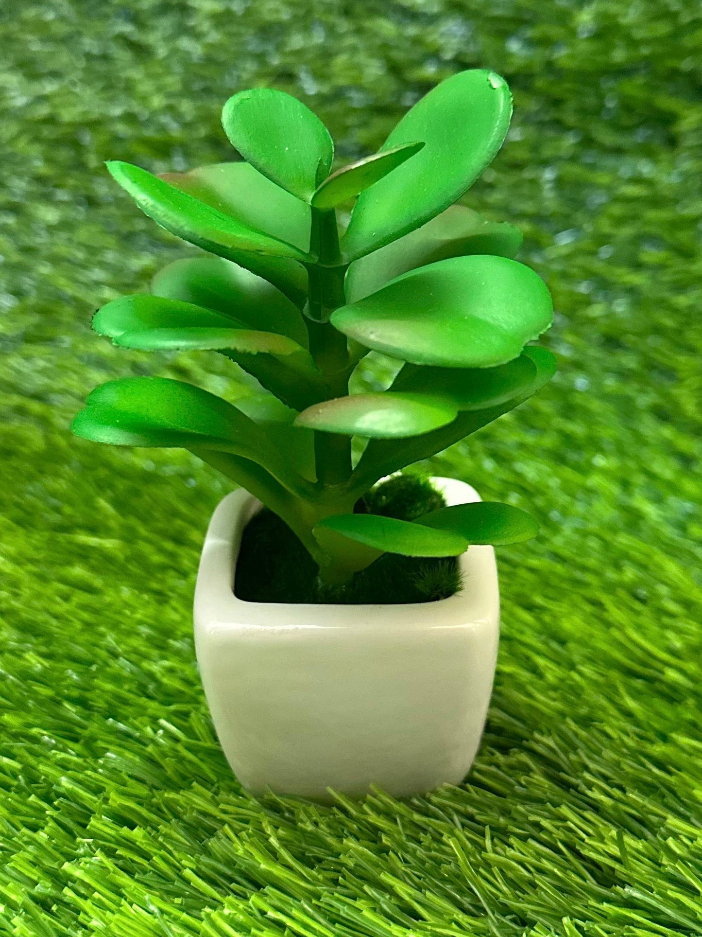 Mini White Ceramic Pot With Plant PD-230