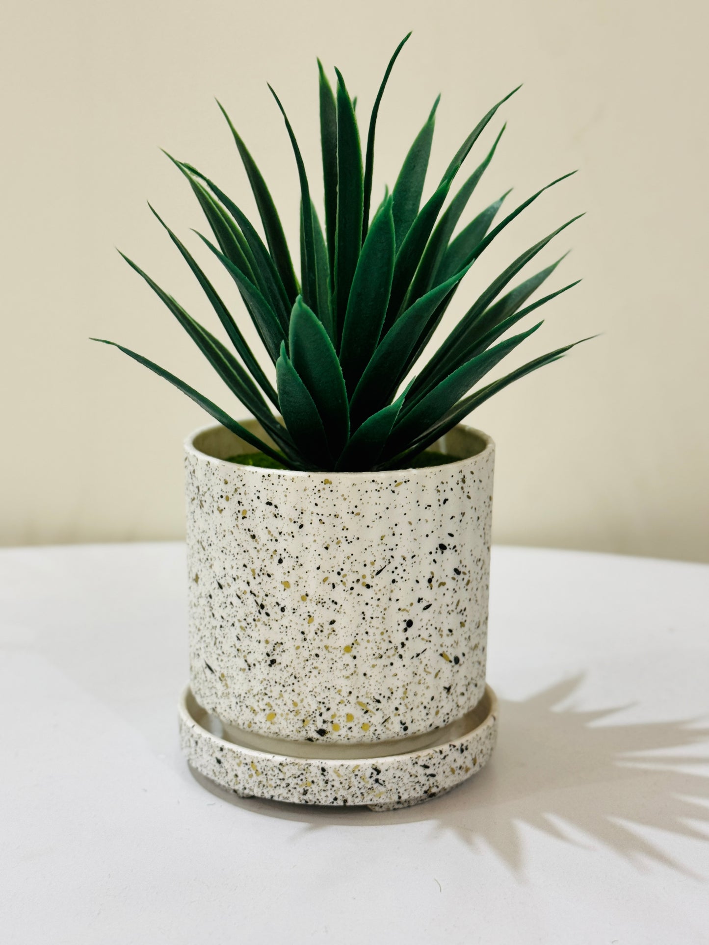 Small Textured pot with plant PD-218