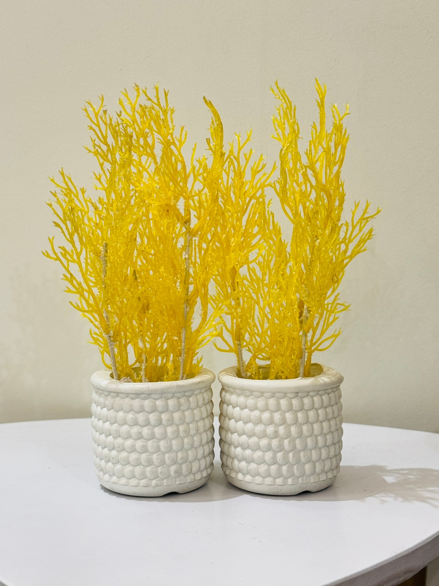 Pots Pair with Flowers PD-222