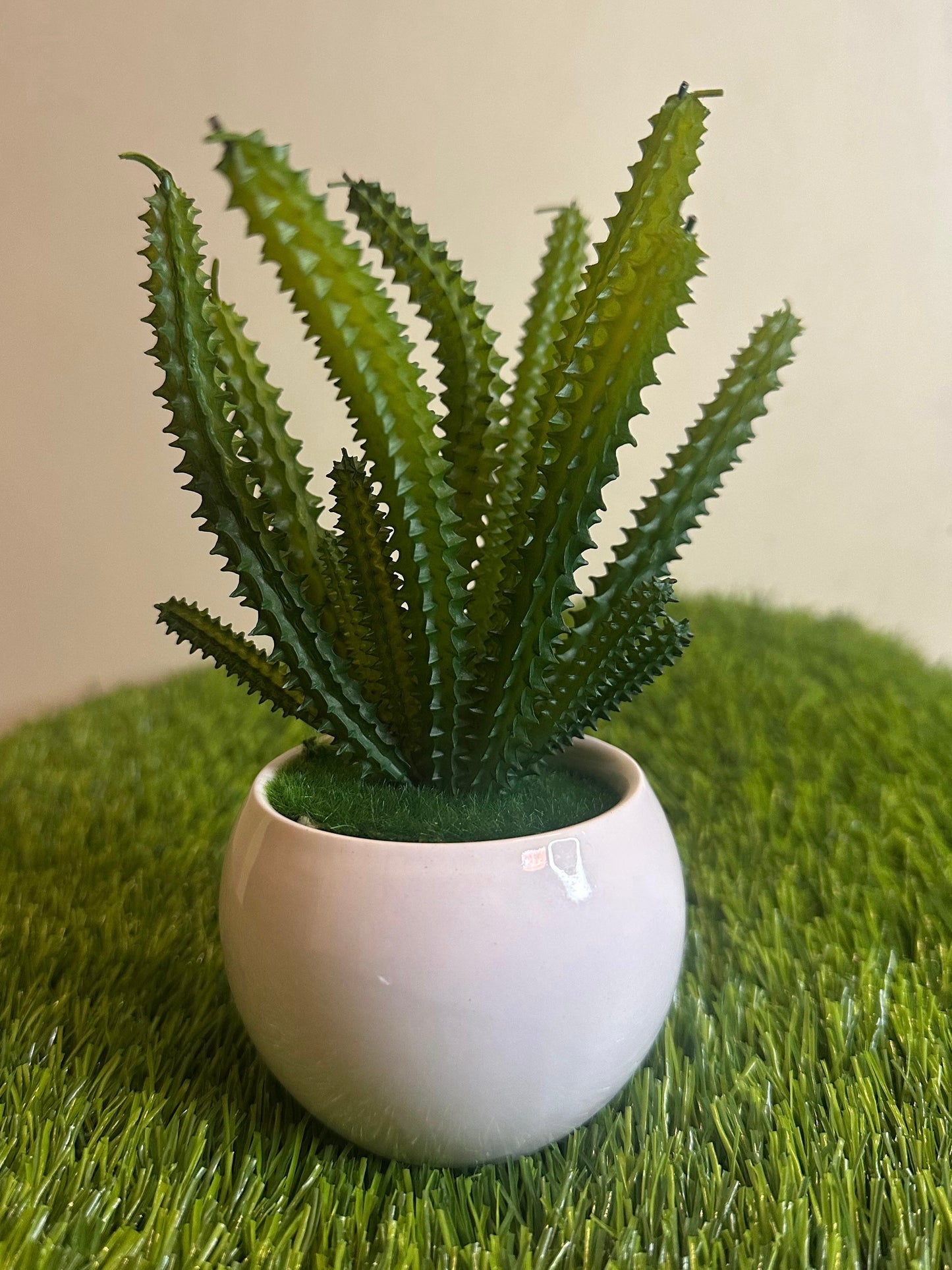 Mini White Ceramic Pot With Plant PD-247