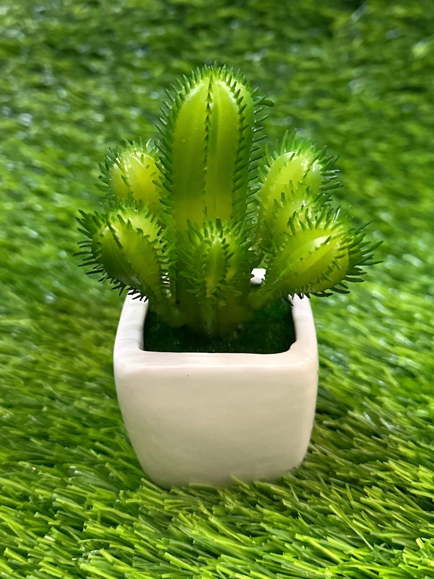 Mini White Ceramic Pot With Plant PD-230