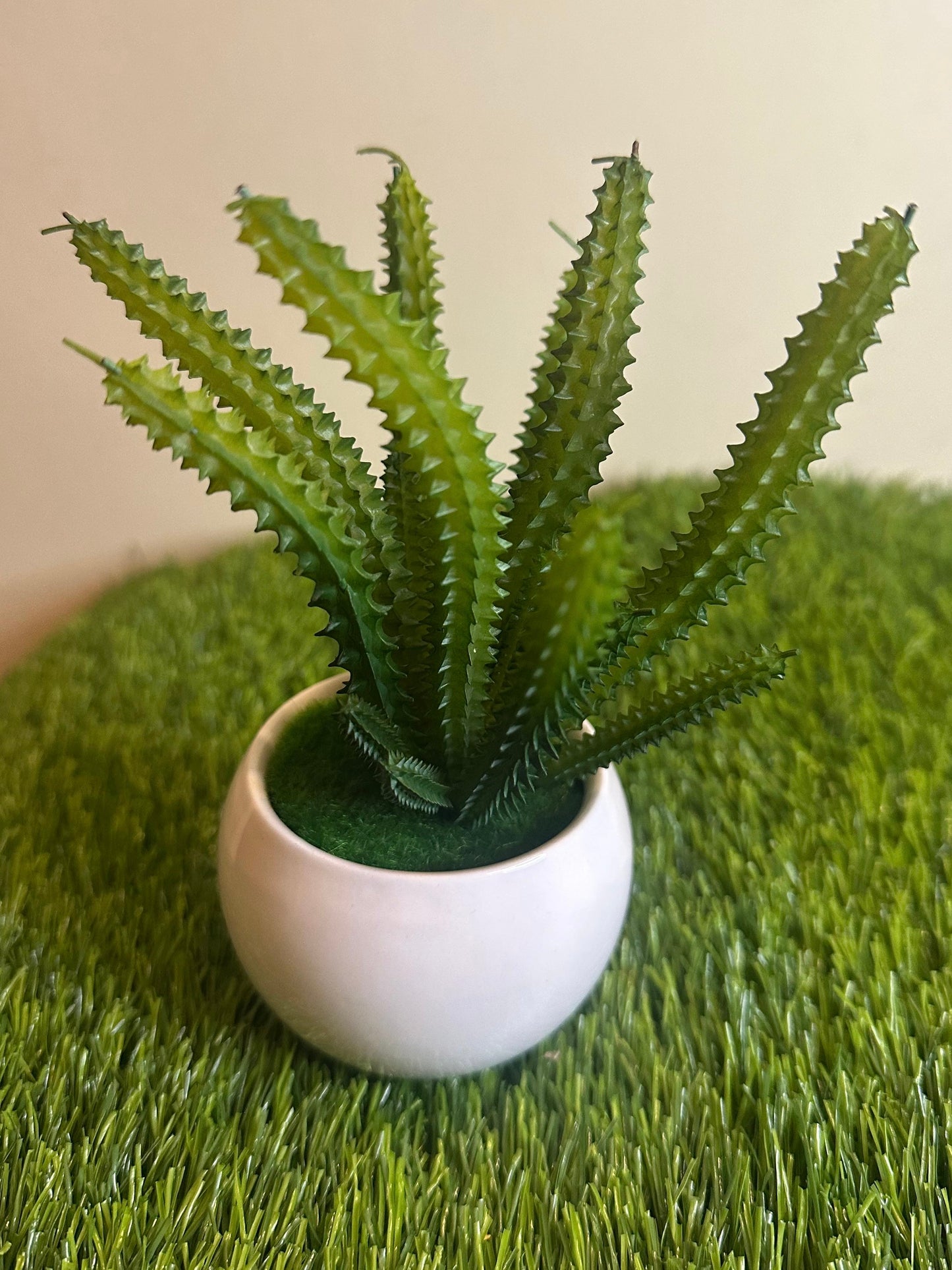 Mini White Ceramic Pot With Plant PD-247