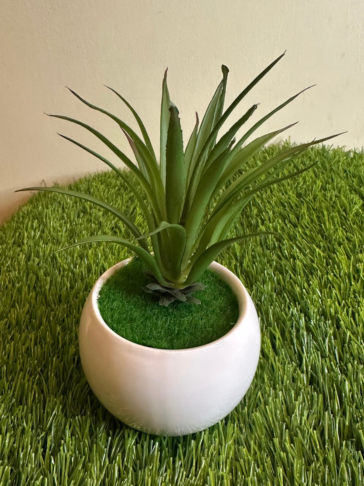 Mini White Ceramic Pot With Plant PD-246