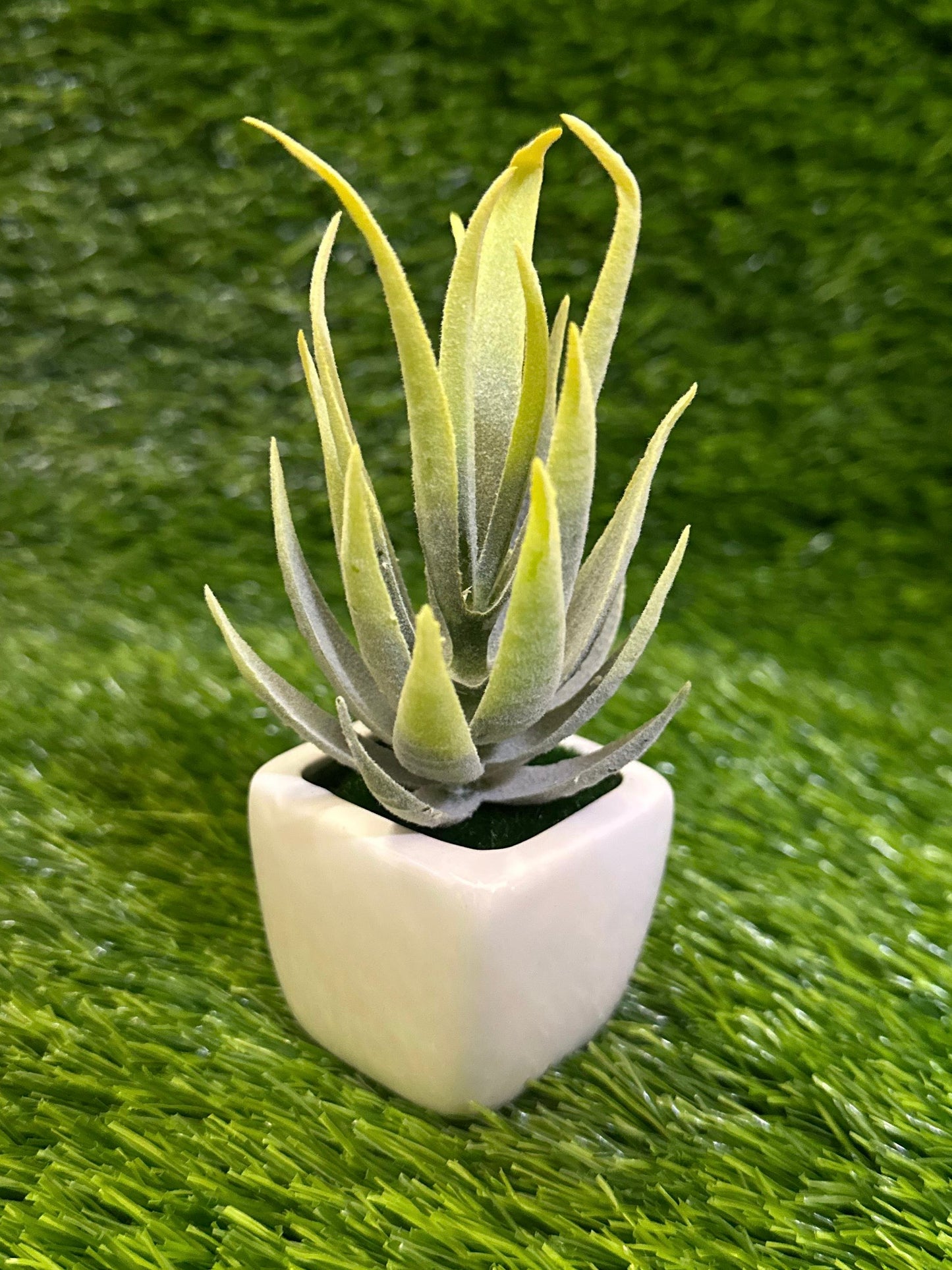 Mini White Ceramic Pot With Plant PD-230