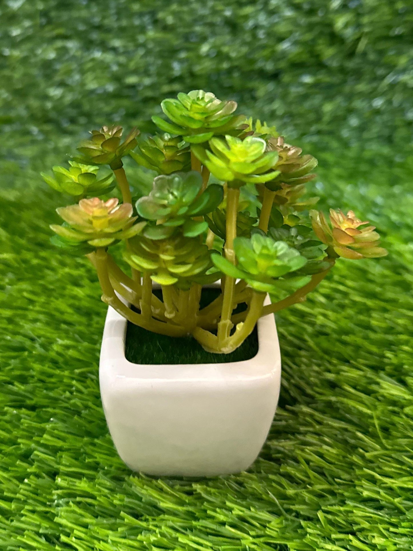 Mini White Ceramic Pot With Plant PD-230