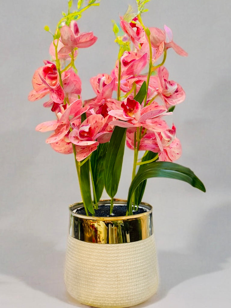 White pot with orchids PD-210
