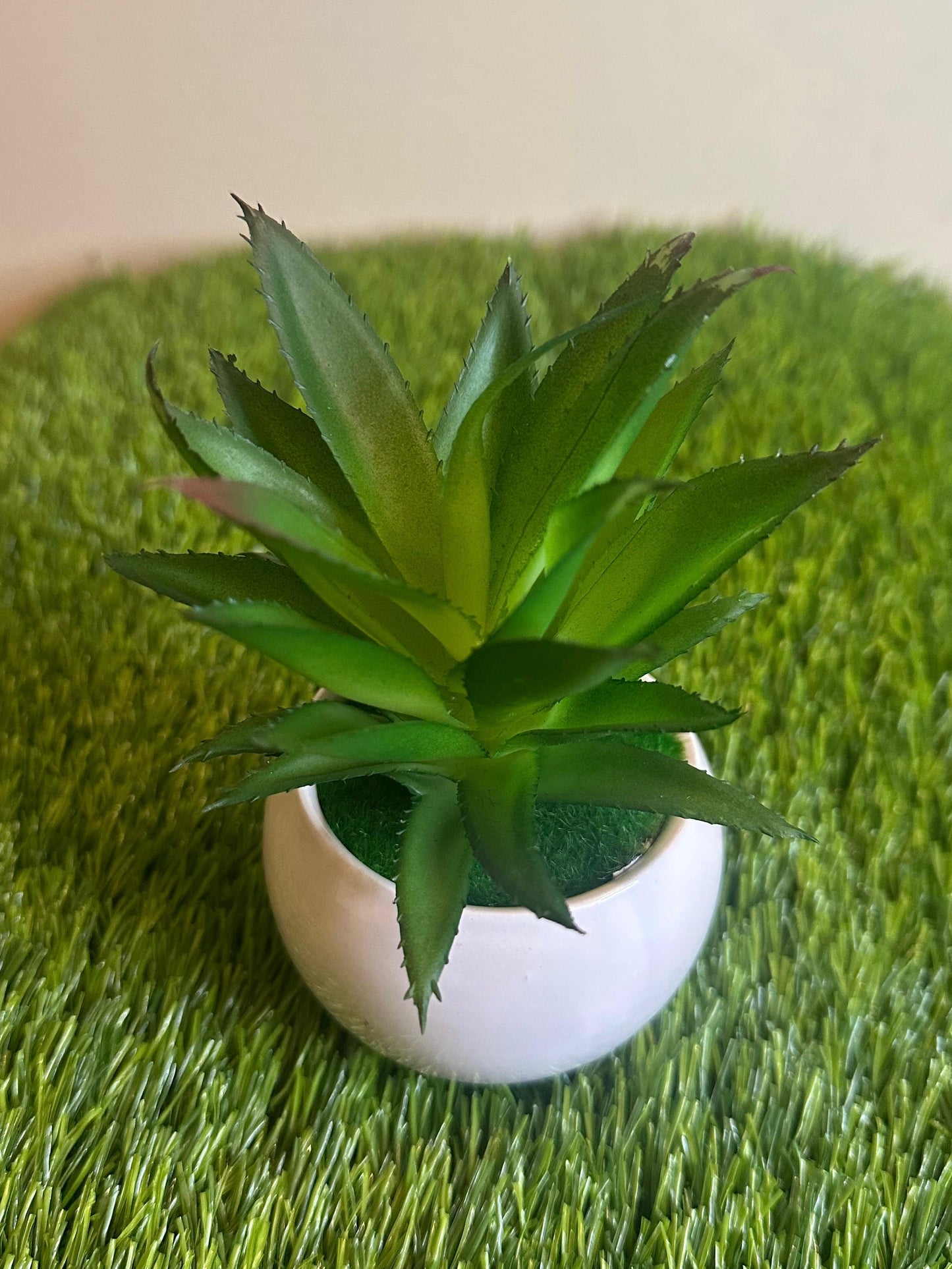 Mini White Ceramic Pot With Plant PD-227