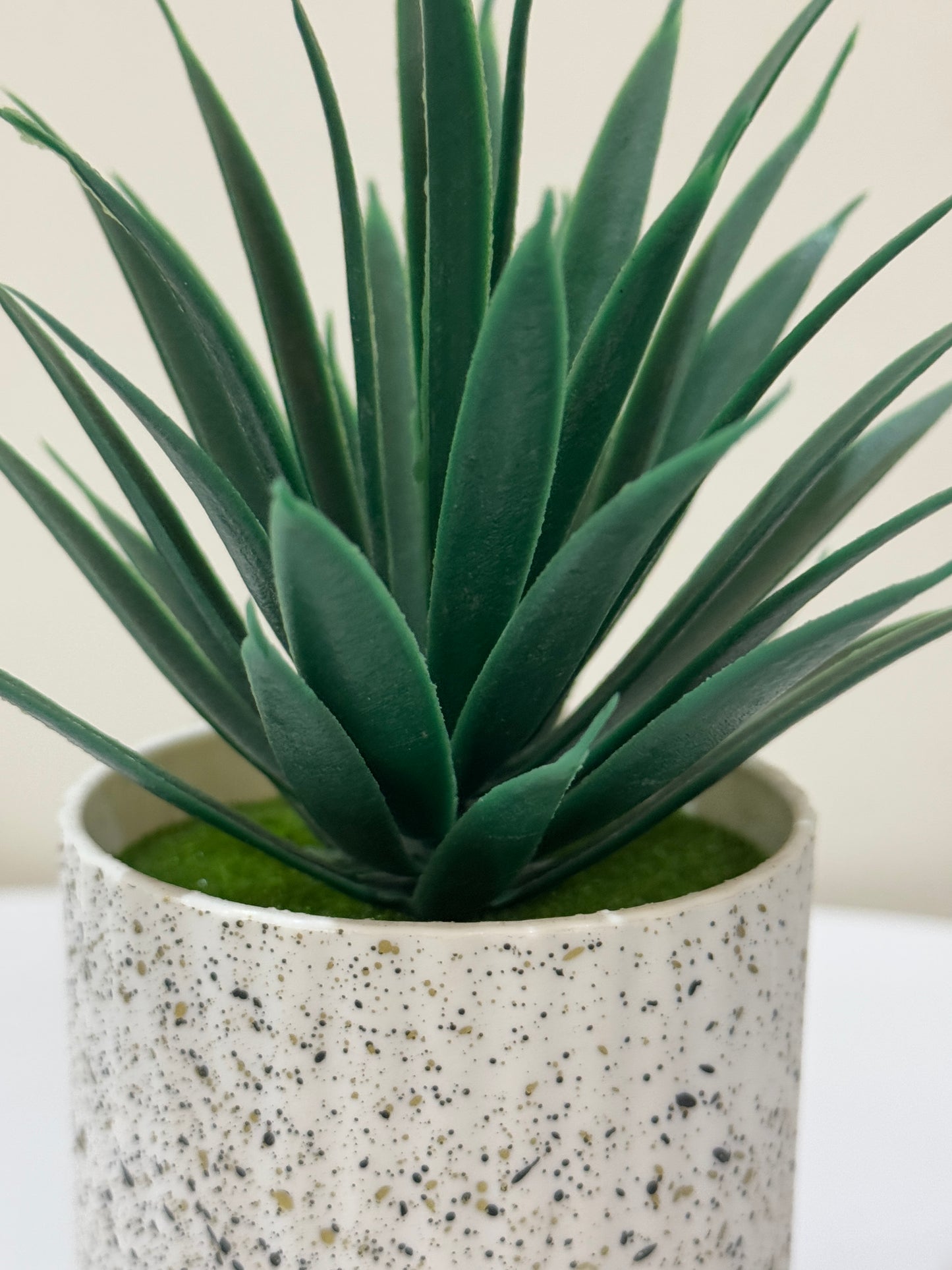 Small Textured pot with plant PD-218