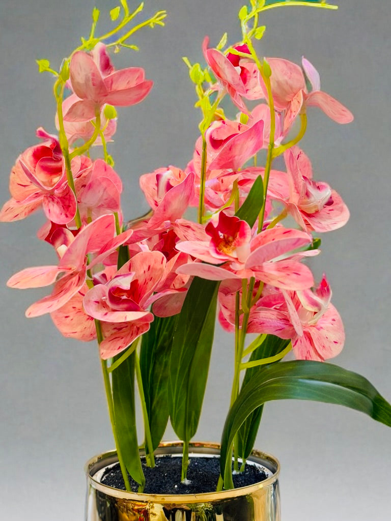 White pot with orchids PD-210
