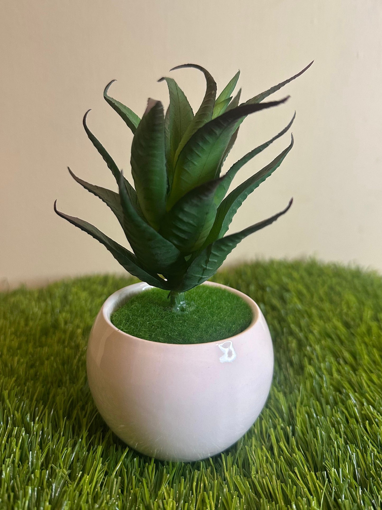 Mini White Ceramic Pot With Plant PD-248