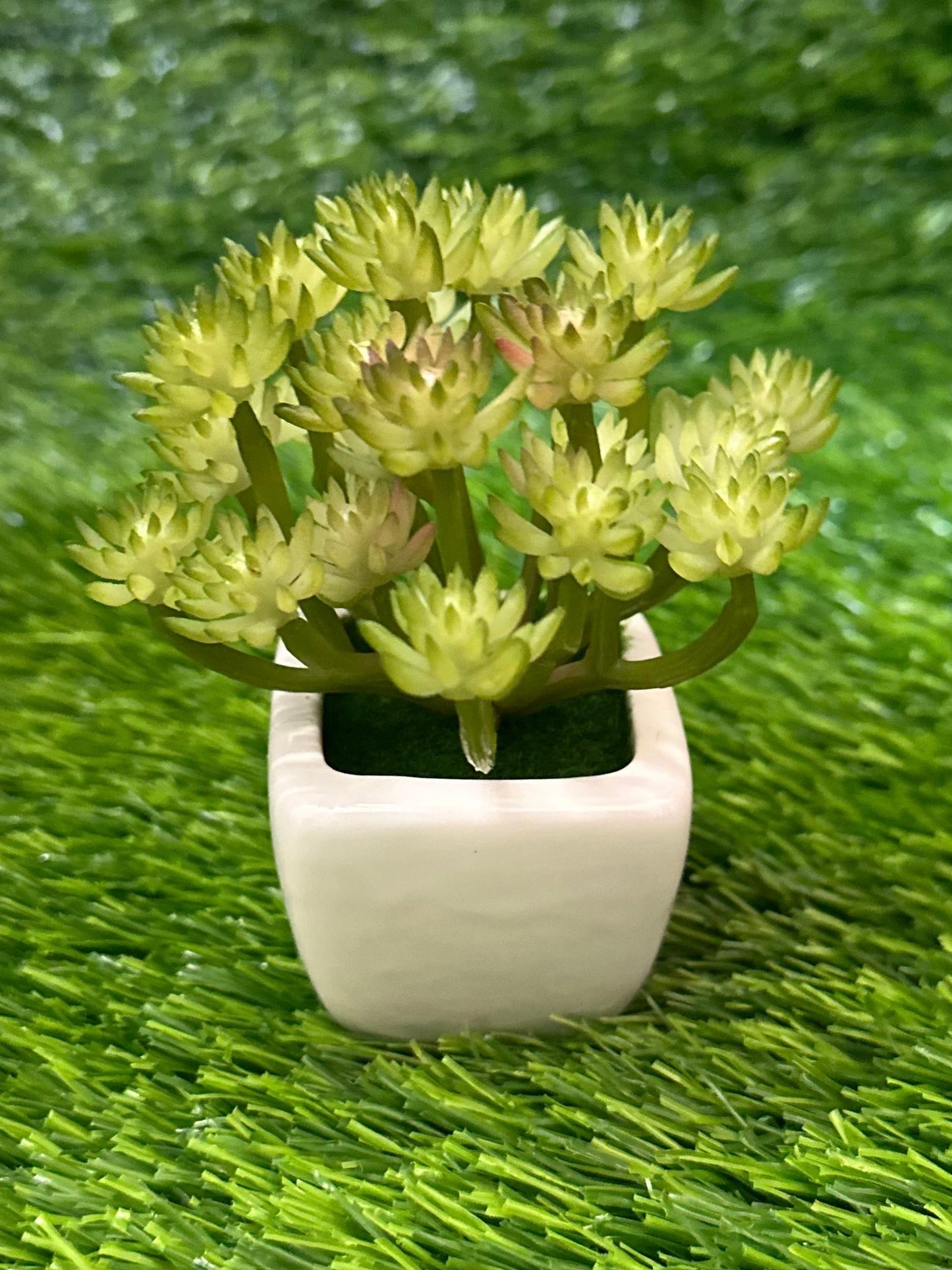 Mini White Ceramic Pot With Plant PD-230