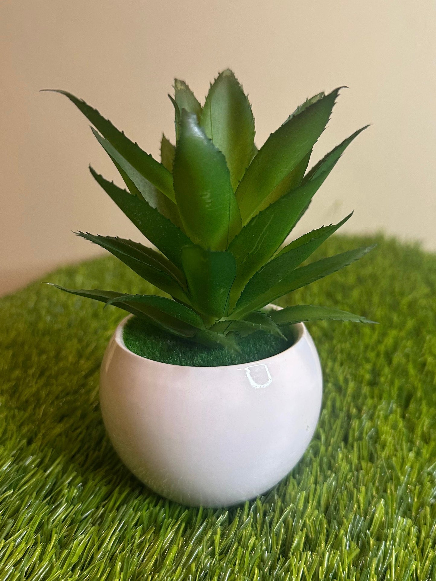Mini White Ceramic Pot With Plant PD-227