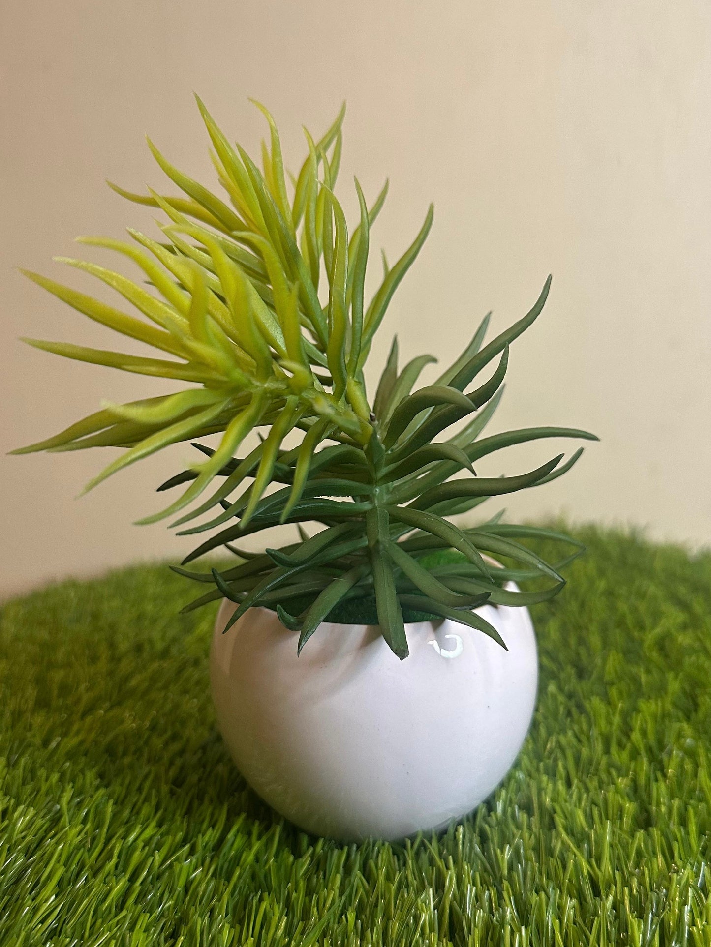 Mini White Ceramic Pot With Plant PD-245