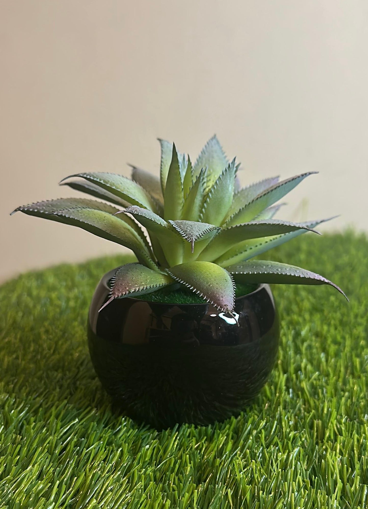 Mini Black Ceramic Pot With Plant PD-240