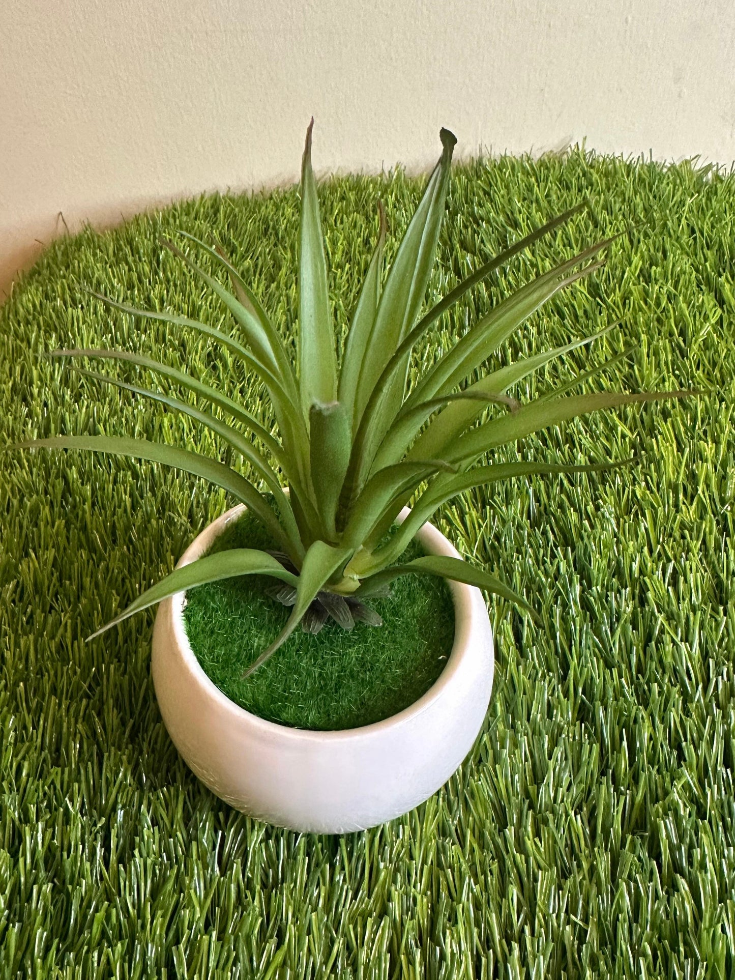 Mini White Ceramic Pot With Plant PD-246