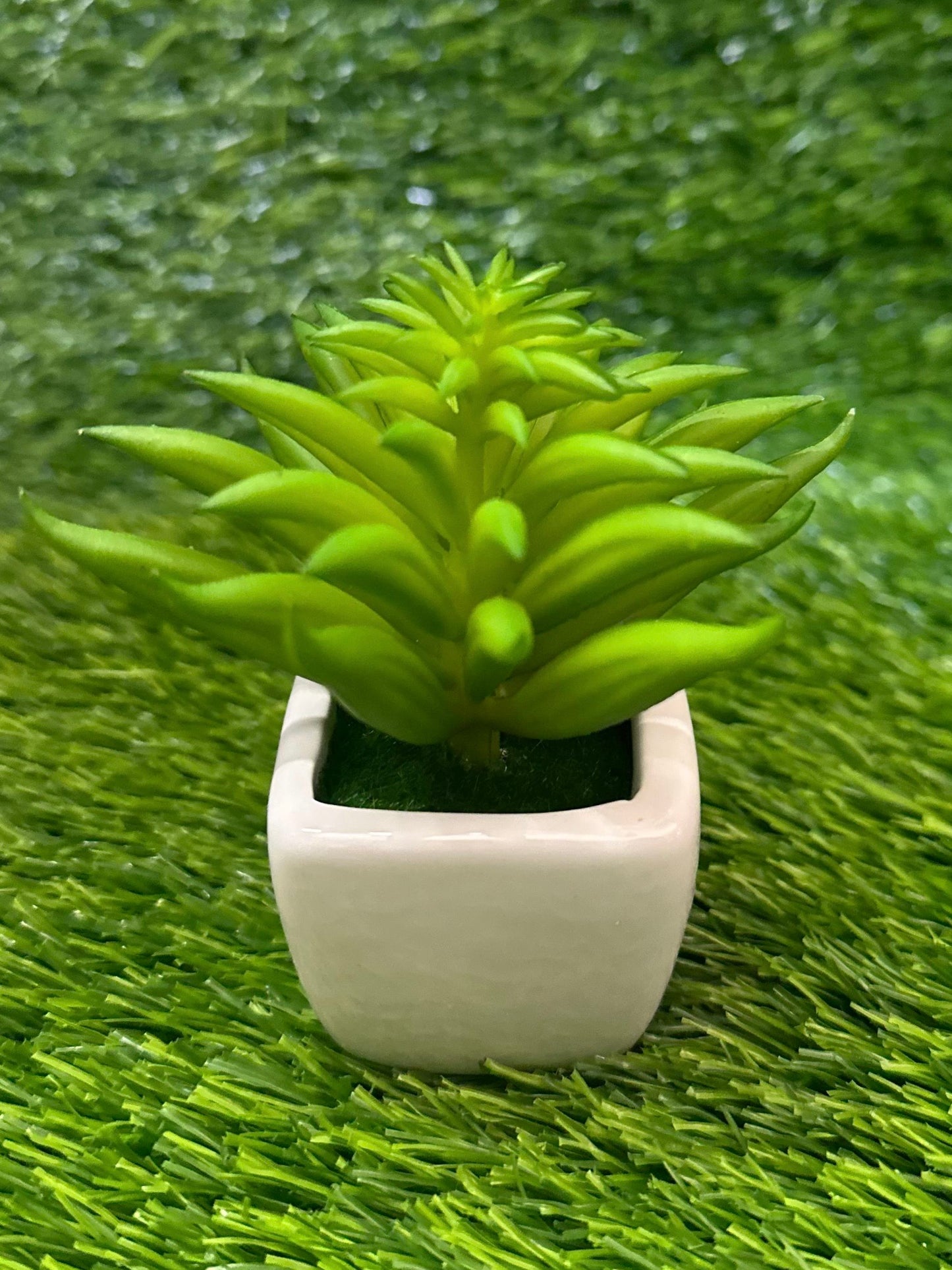 Mini White Ceramic Pot With Plant PD-230