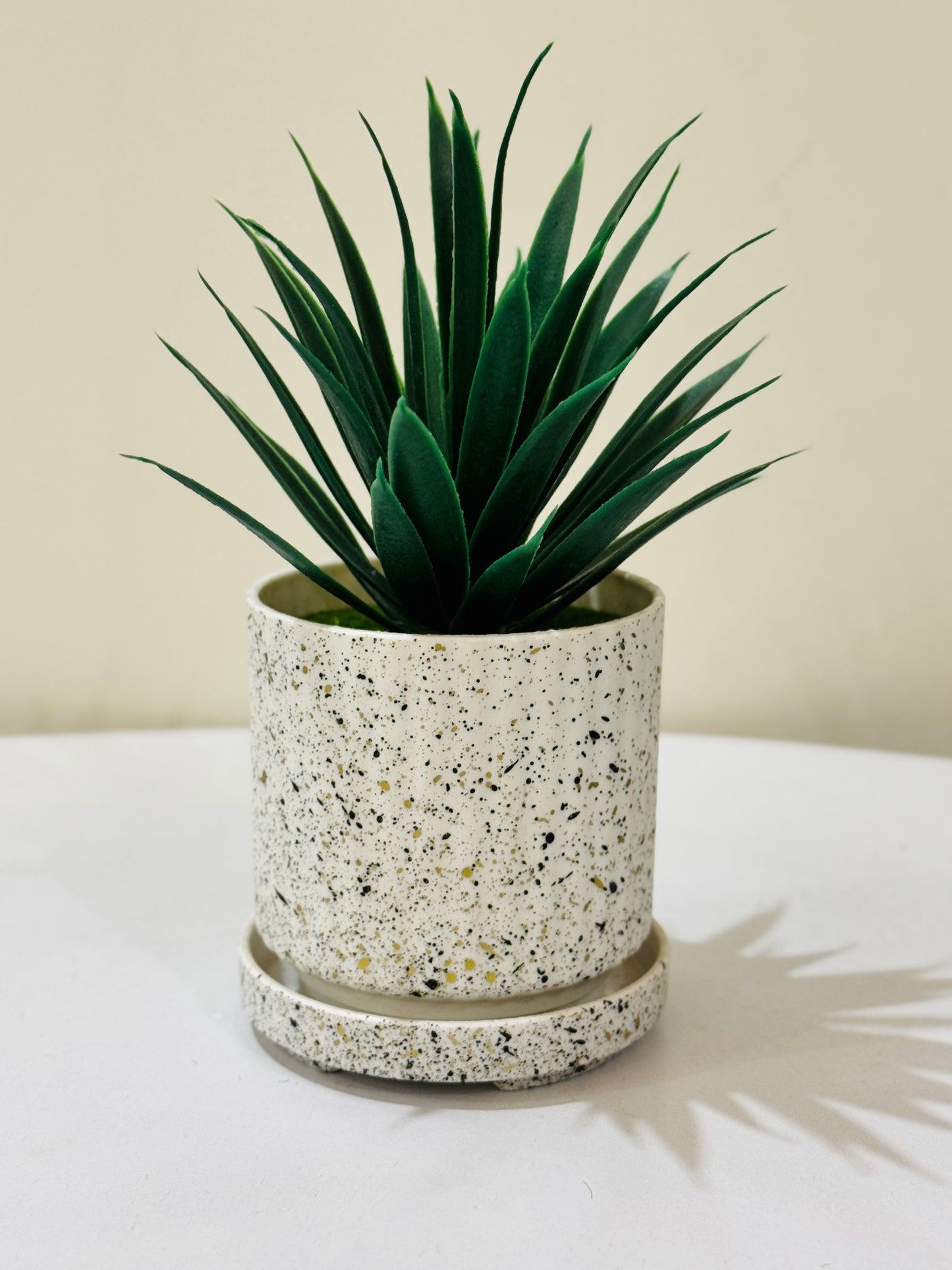 Textured pot with plant