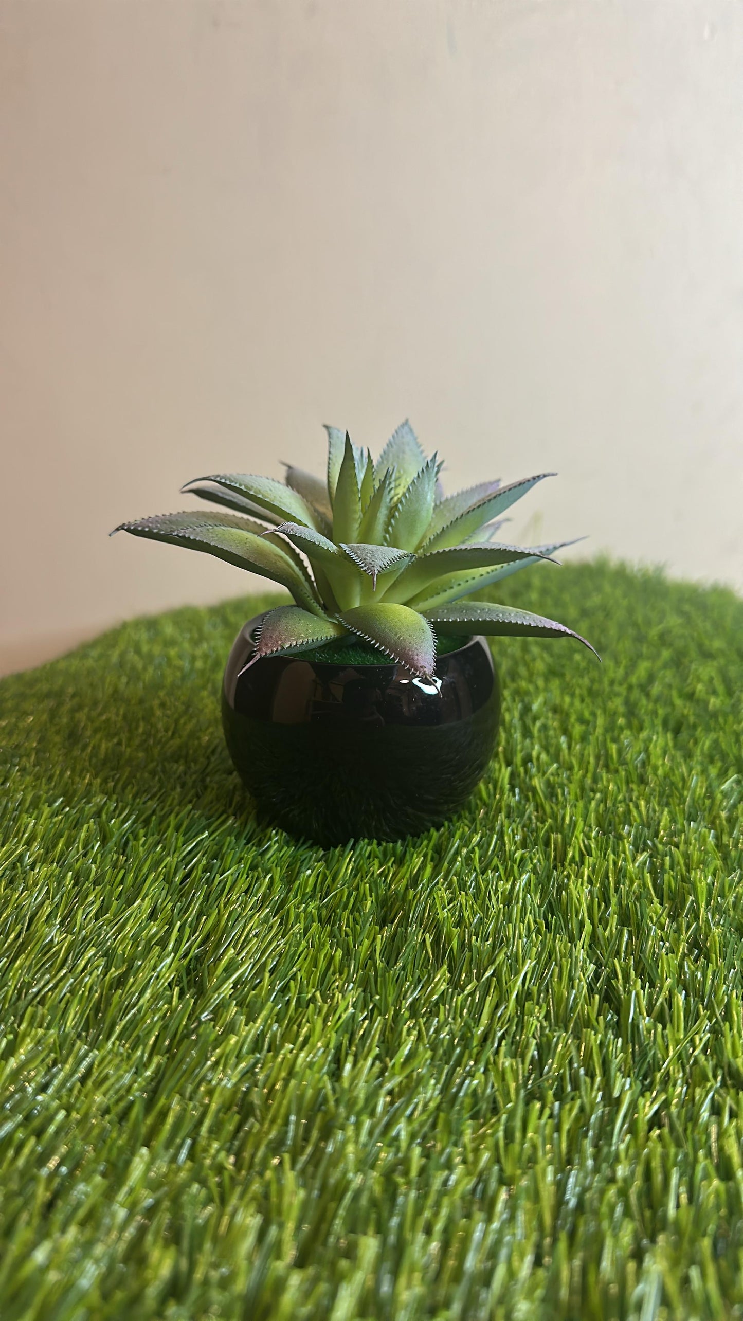 Mini Black Ceramic Pot With Plant PD-228