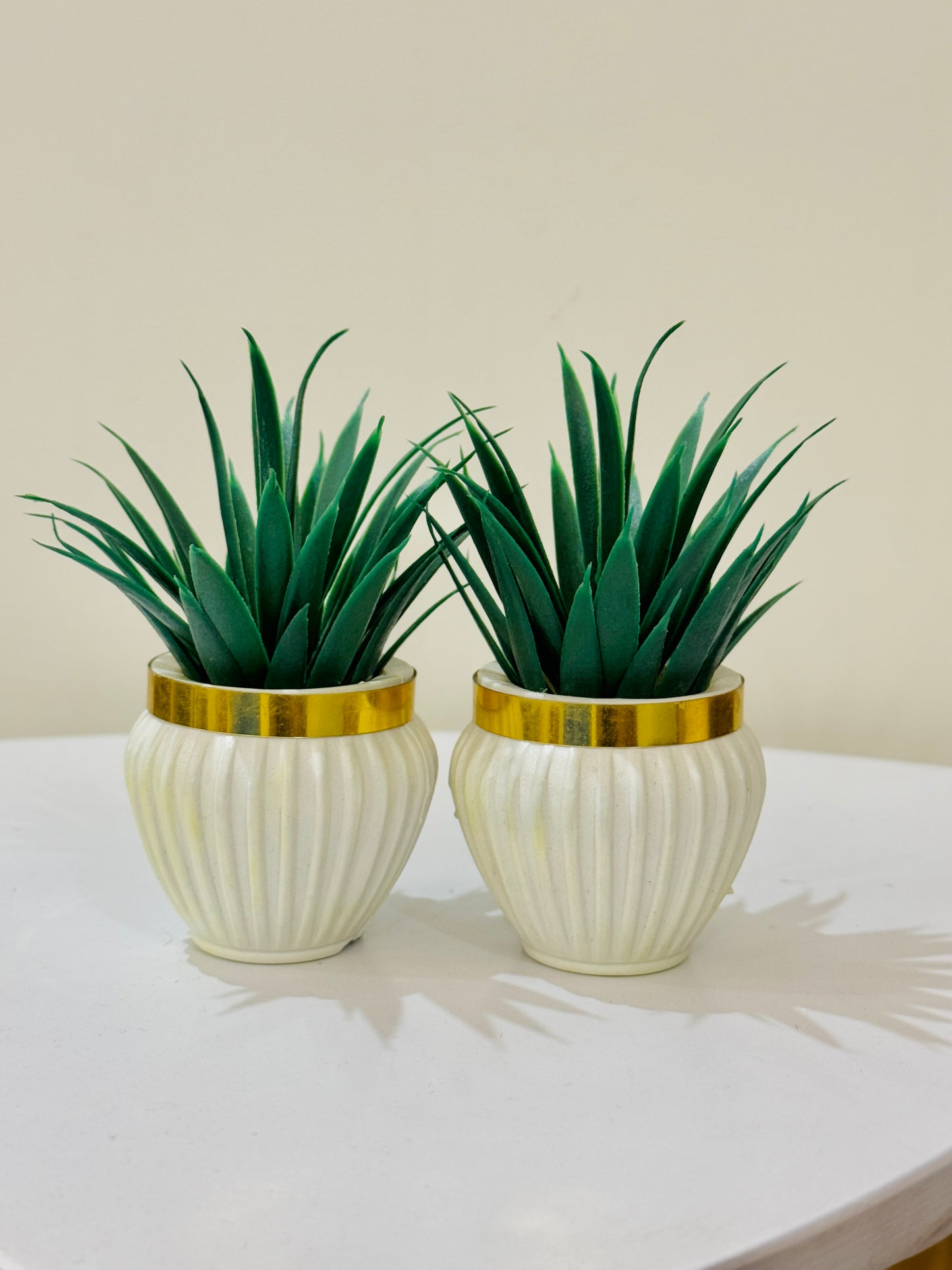 Mini Artificial Plant Pair in Decorative Pots PD-207