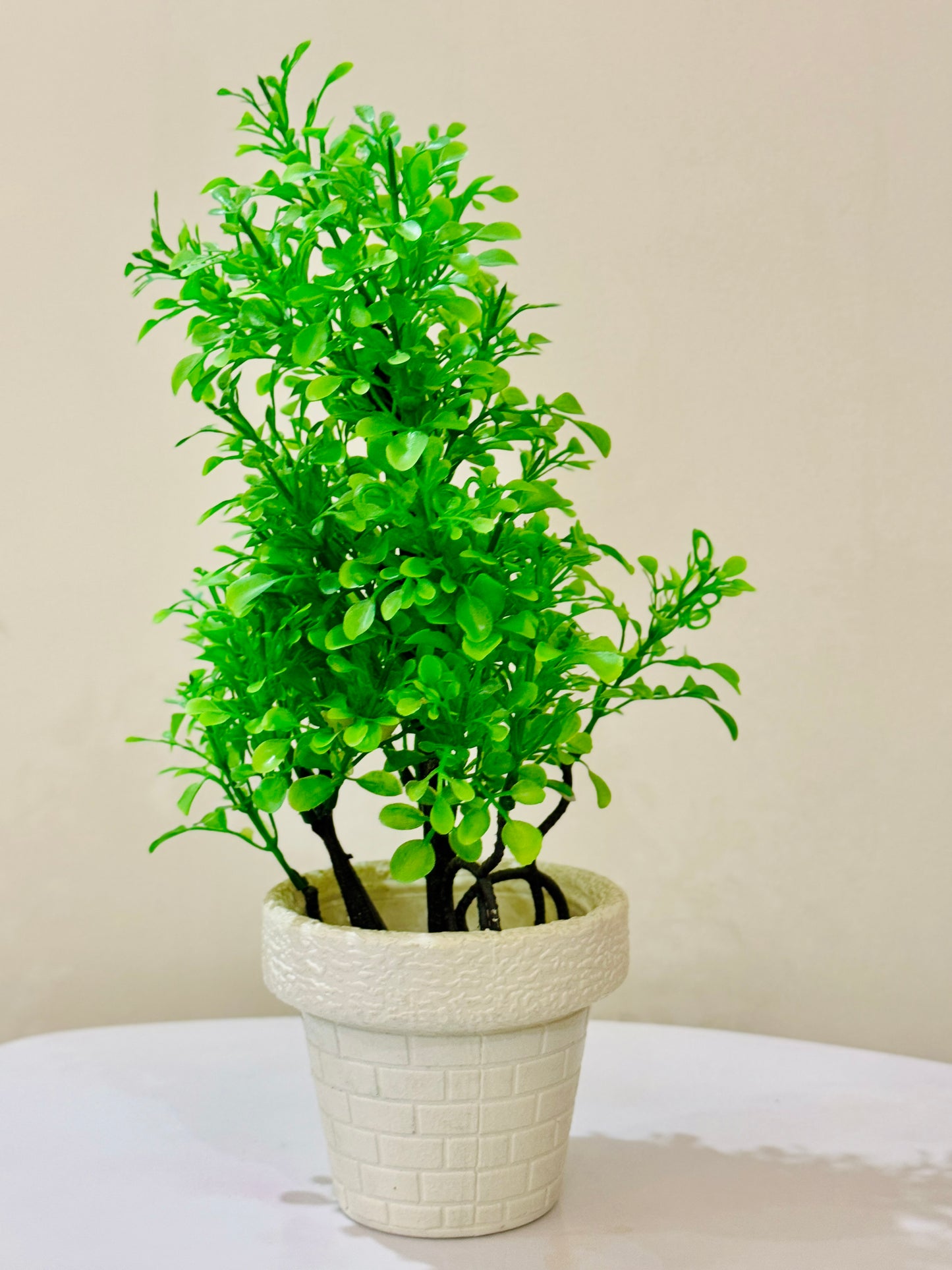 Medium white pot with plant PD-226