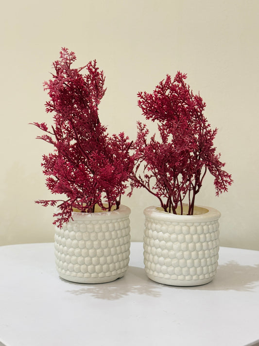 Pots Pair with Flowers