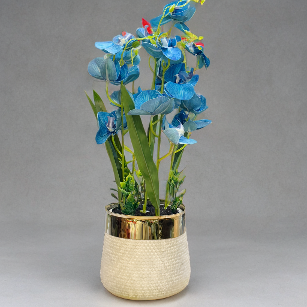 White pot with orchids PD-210