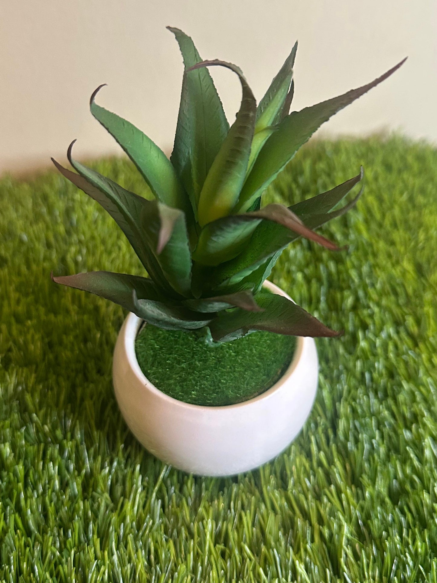 Mini White Ceramic Pot With Plant PD-248